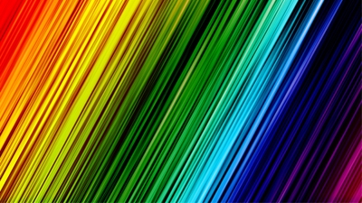 Multicolor Multicolor