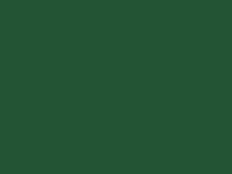 Verde Oscuro Verde Oscuro